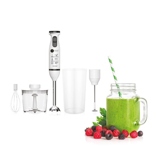 AFRA Hand Blender Set, Multiple Speed Settings, Stainless Steel, Multiple Attachments, 600W, Chopper, Mixing Cup, Whisk, G-Mark, ESMA, RoHS, CB, 2 years warranty