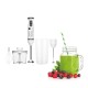AFRA Hand Blender Set, Multiple Speed Settings, Stainless Steel, Multiple Attachments, 600W, Chopper, Mixing Cup, Whisk, G-Mark, ESMA, RoHS, CB, 2 years warranty